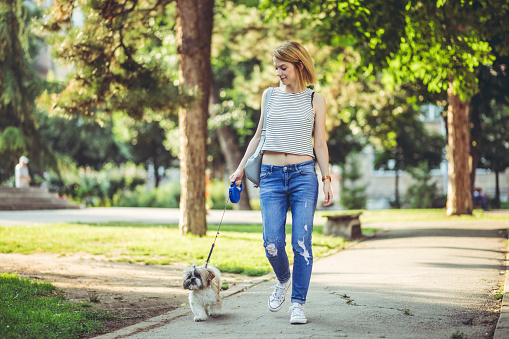 Young woman walking her pet shih tzu dog in a park