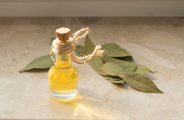 istock Bay Leaves Oil or Laurel Essential 1079794420