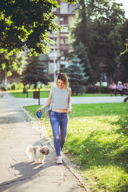 istock Woman with dog in a park 1079794722