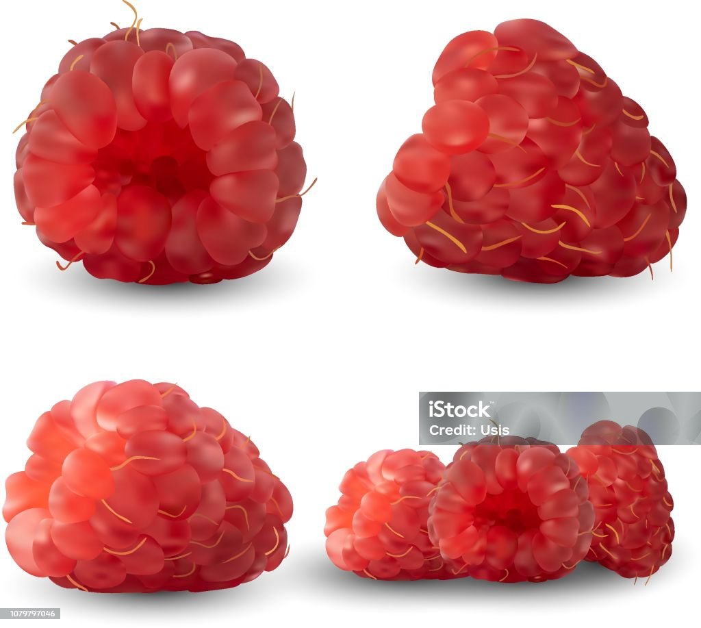 Fruit Shapes Raspberry Set Of Realistic Raspberries From Different Angles Isolated Against A ...