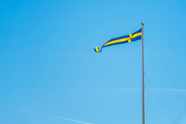 The man is waving the Swedish Flag. Patriotism concept. Horizontal composition with copy space.