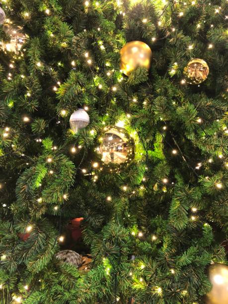 istock Magical Christmas three close-up look 1079807732