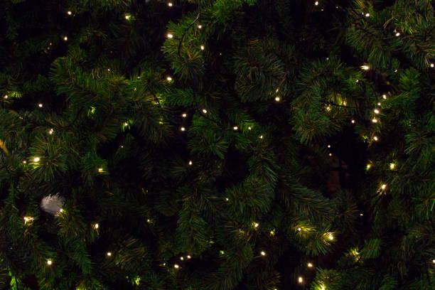 istock Magical Christmas three close-up look 1079808390
