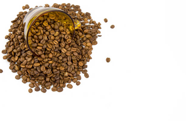 istock Natural Roasted Coffee Beans 1079814412