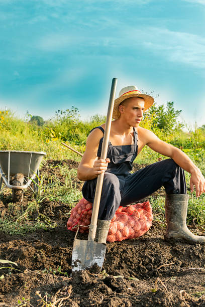 istock Farmer Resting after Harvesting 1079826148
