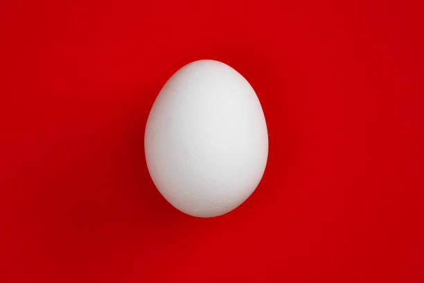 white egg on the red background - red easter easter egg eggs imagens e fotografias de stock