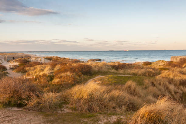 istock Sandy beach next to Skagen in Denmark 1079836246