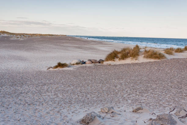 istock Sandy beach next to Skagen in Denmark 1079836936