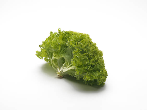 istock Fresh green and raw Lettuce isolated on white background 1079837928