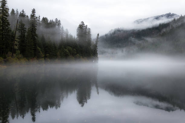 istock Toketee reservoir 1079848384