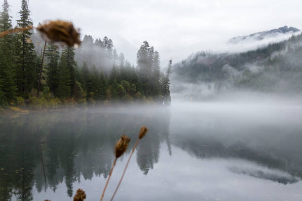 istock Toketee reservoir 1079848392