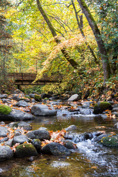 istock autumn by the creek 1079855672