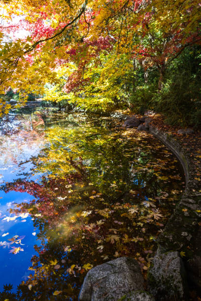 istock autumn by the pond 1079856108