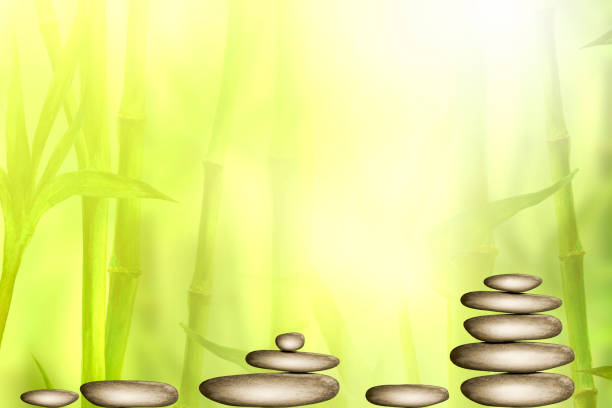 ilustrações de stock, clip art, desenhos animados e ícones de spa still life background with zen stones and green bamboo forest. space for text. - arrangement asia backgrounds balance