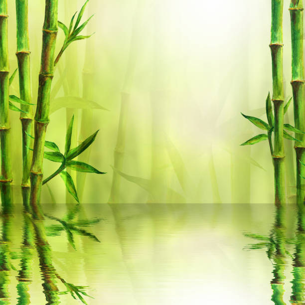 istock Bamboo forest with reflection in water spa background. Watercolor illustration with space for text 1079864920