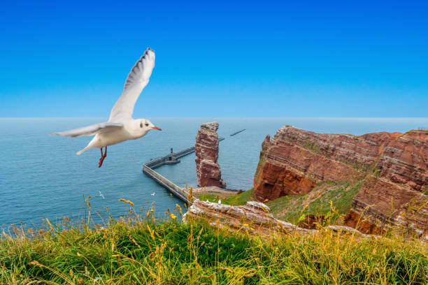 istock Heligoland North Sea 1079871632