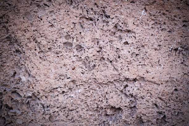 istock coquina shell rock texture with vignette. background, geological. 1079875700