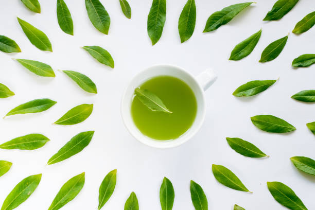 Green Tea and Fresh Tea Leaves Healthy Light Green Tea Cup with Fresh Green Leaves Flat Lay green tea stock pictures, royalty-free photos & images