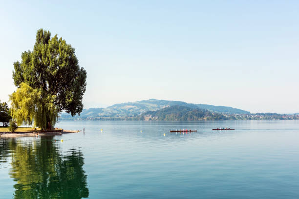 Single tree and canoe on Lake shore landscape in Lake Zug, Oberwil town, Canton of Zug, Switzerland Single tree and canoe on Lake shore landscape in Lake Zug, Oberwil town, Canton of Zug, Switzerland. lake zug stock pictures, royalty-free photos & images