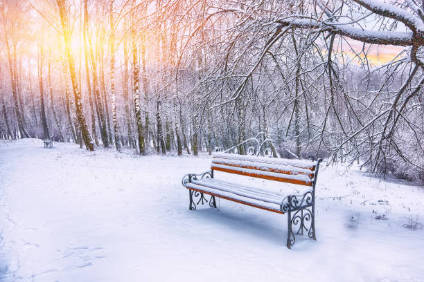 istock Park benches and trees covered by heavy snow 1079893802