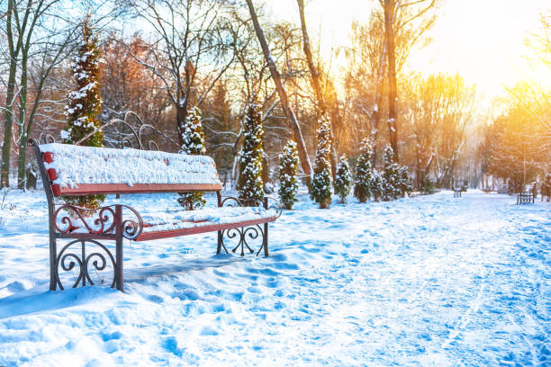 istock Park benches and trees covered by heavy snow 1079904006