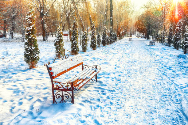 istock Park benches and trees covered by heavy snow 1079905454