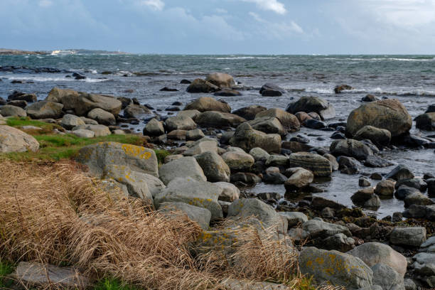 istock stones and reeds on the banks 1079906026