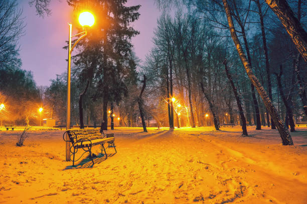 istock Park benches and trees covered by heavy snow 1079906092