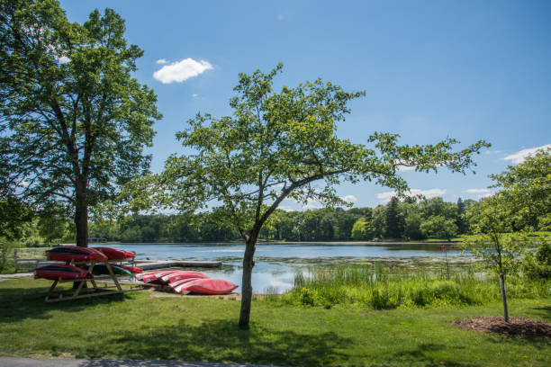 istock Canoes on the Lakefront 1079910472