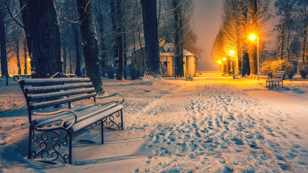 istock Park benches and trees covered by heavy snow 1079911092