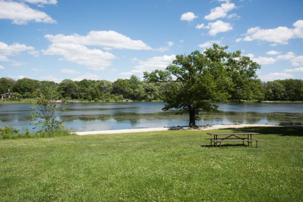 istock Picnic Table at Herrick Lake Forest Preserve 1079911240