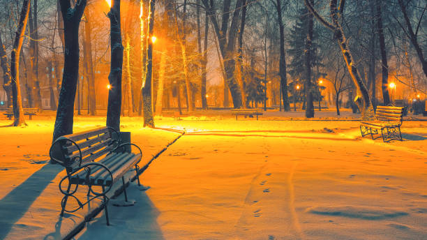 istock Park benches and trees covered by heavy snow 1079911262