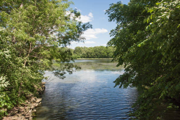 istock Freshwater at Herrick Lake 1079911420
