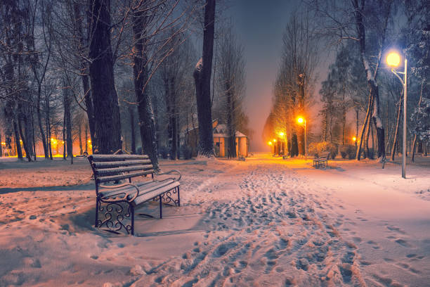 istock Winter park with benches covered with snow in the evening. 1079922174