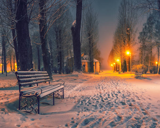 Winter park with benches covered with snow in the evening.