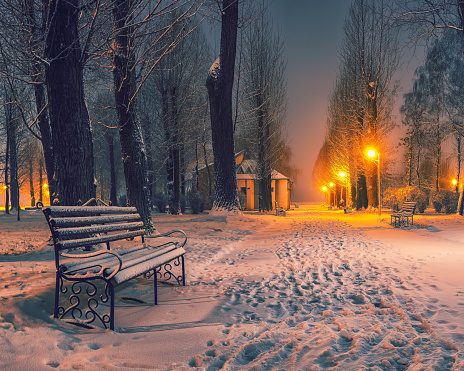 Benches and trash cans in the park during the snowfall.\nThis image was taken with a mobile phone.