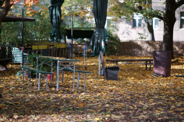 Chess tables covered with yellow leaves in an autumn park.