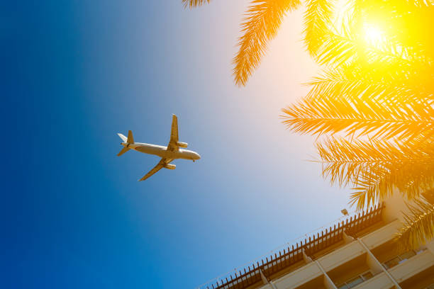 istock Plane passing palm trees tops and hotel building with blue sky on background 1079950016