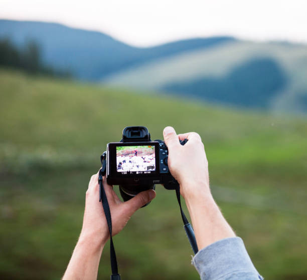 istock Hands holding the digital photo camera 1079954964