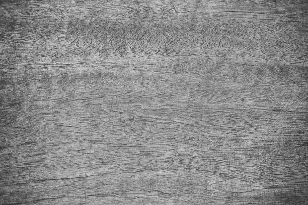 istock Abstract rustic surface white wood table texture background. Close up of rustic wall made of white wood table planks texture. Rustic white wood table texture background empty template for your design. 1079959748