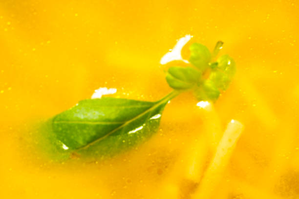 Cup of chicken noodle soup on white background, hot and ready to eat with basil leaf garnish