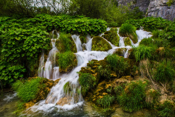 istock Plitvice Lakes National Park 1079997380