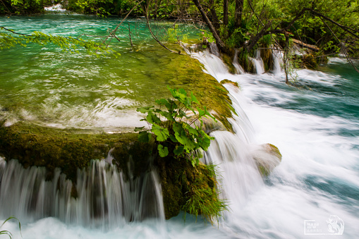 Waterfalls in Plitvice Lakes National Park, Croatia, east Europe.
