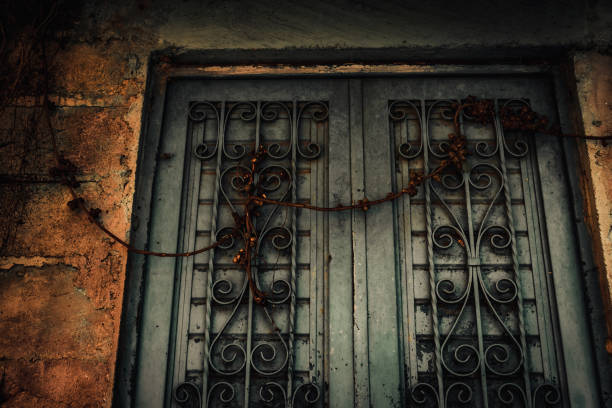 istock An old door in Mexico 1080006952