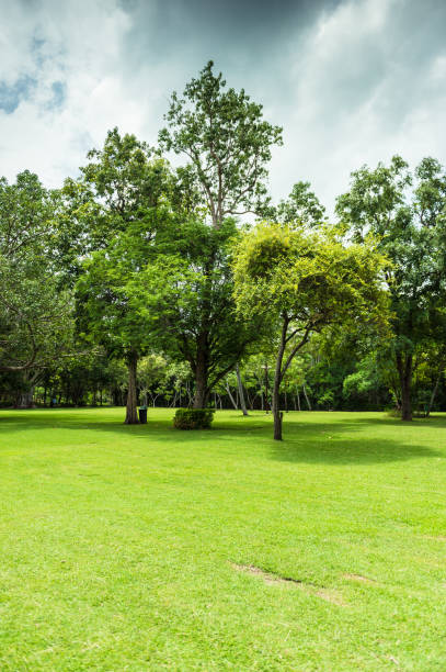 istock Green of Garden Landscape 1080025822