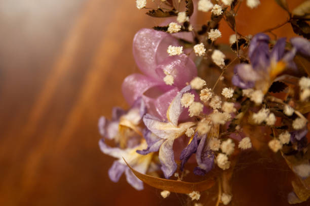 istock dried flowers soft focus 1080032522