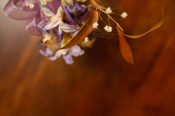 istock dried flowers soft focus 1080033964