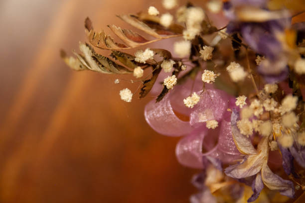 istock dried flowers soft focus 1080034286