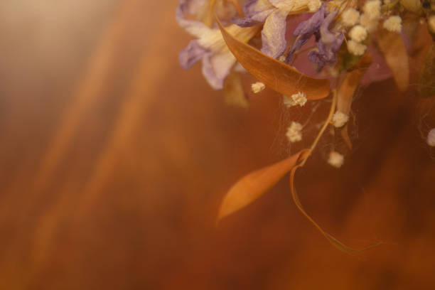istock dried flowers soft focus 1080034546