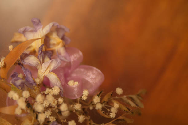 istock dried flowers soft focus 1080035042